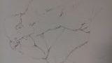 sabinedhavernas - Dessins