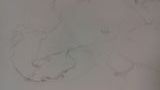sabinedhavernas - Dessins