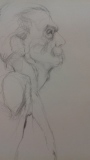 sabinedhavernas - Dessins